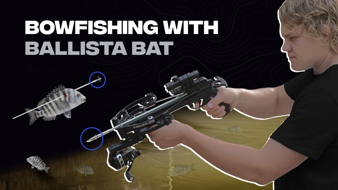 BowFishing With Ballista Bat